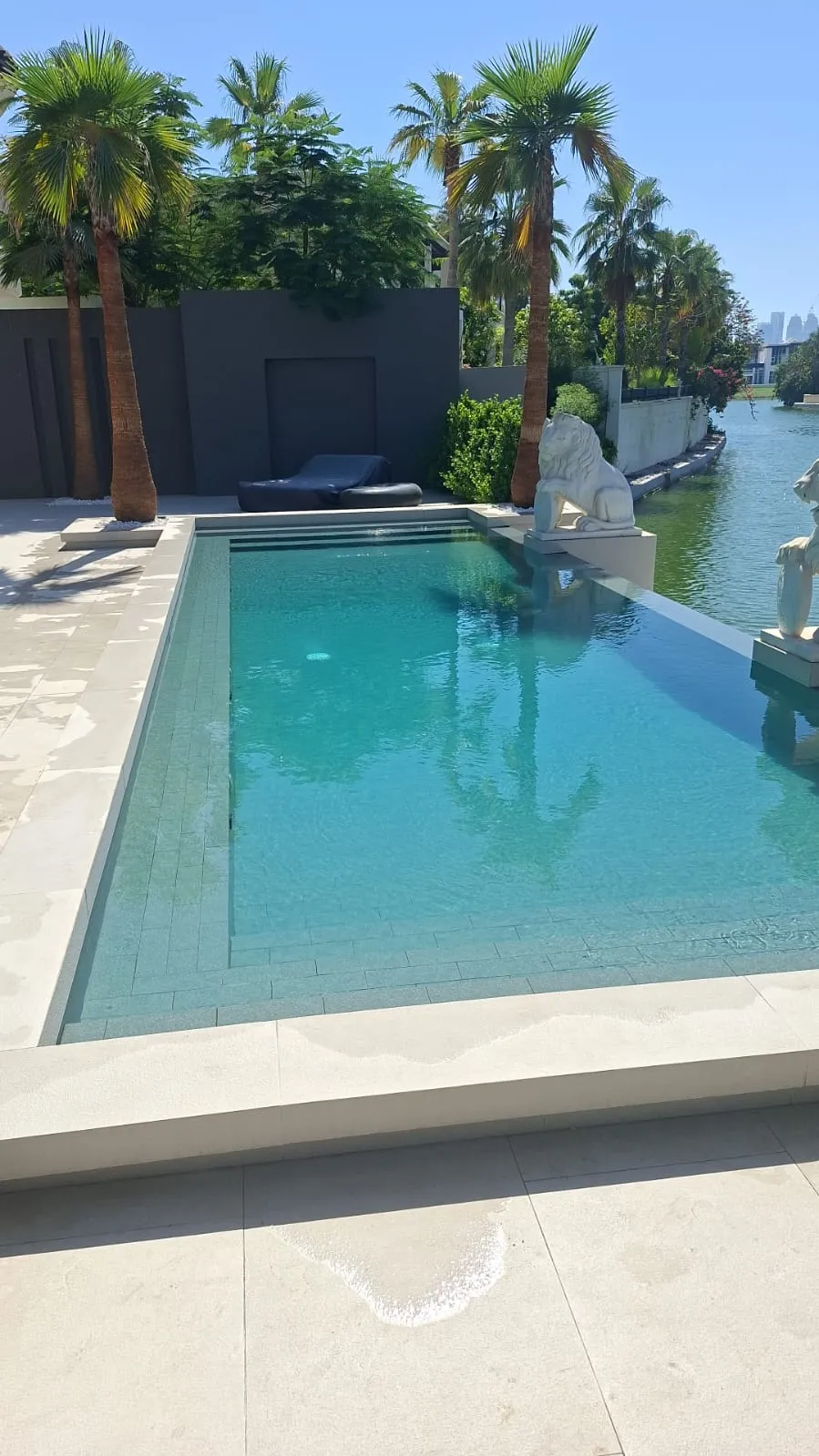Pool with palm trees near the coast in Dubai