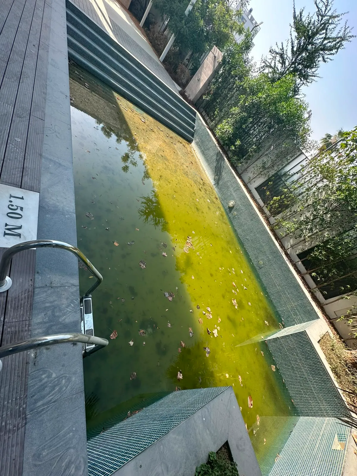 Neglected villa pool before Altaif recovery in Arabian Ranches