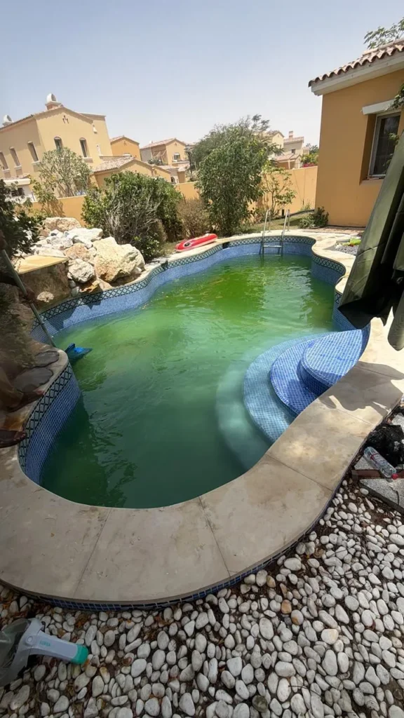 Swimming-pool-cleaning-dubai-green-alage-water-before-cleaning