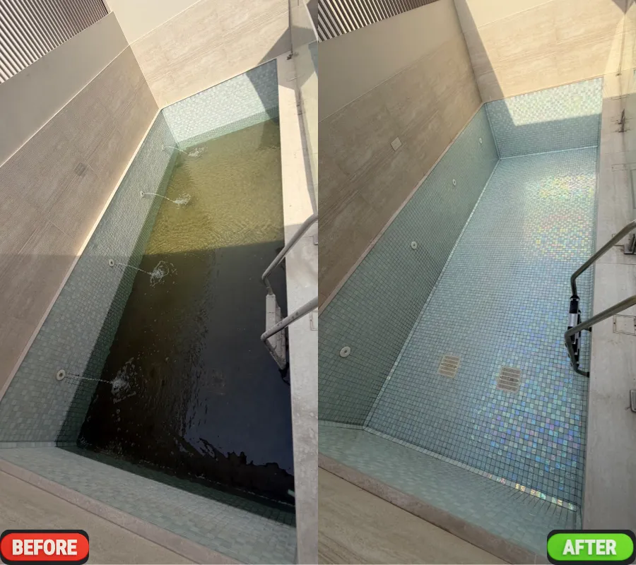 swimming pool cleaned by altaif in Palm Jumeirah before & after